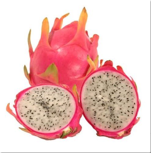 20 WHITE DRAGON FRUIT (Pitaya / Pitahaya / Strawberry Pear) Hylocereus Undatus Cactus Seeds by Seedville