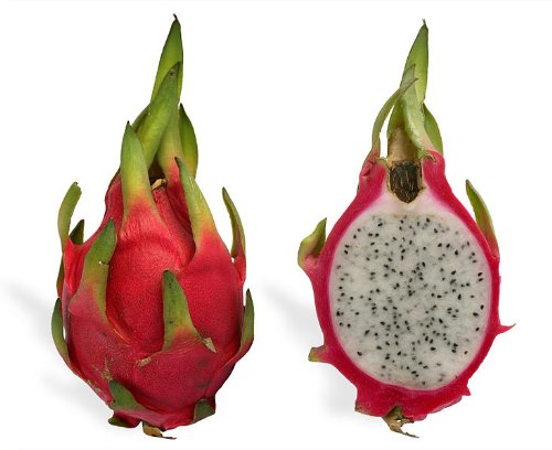20 WHITE DRAGON FRUIT (Pitaya / Pitahaya / Strawberry Pear) Hylocereus Undatus Cactus Seeds by Seedville