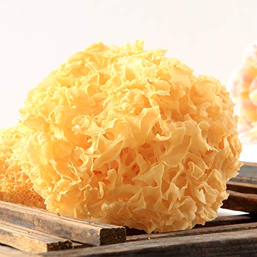 八荒 黄金银耳白木耳200g 雪耳 古田银耳 Bahuang Gold Tremella auricula 200g Snow Ear Tremella fuciformis