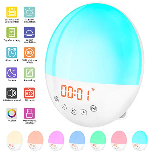 2020 WIFI Radio Reloj Despertador Digital Wake Up Light, Amanecer Simulación de Amanecer y Anochecer, 30 Niveles de Brillo, Función Snooze, 10 Sonidos, Control por voz, Admite Alexa Echo y Google Home