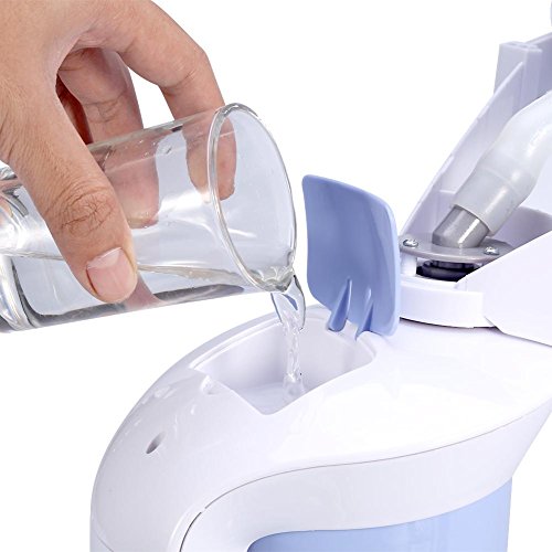 3 en 1 vapor facial y cuidado del pelo Vapor de ozono rociador de iones Humidificador cara SPA