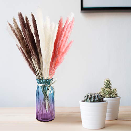 30PCS Hierba de Pampa Pequeña Seca,Natural Pampas Secas Grass Manojo Flores,Decoración del Hogar Hierba de Pampa,Ramo de Flores Decoración del Hogar Fiesta Boda del Hotel (Rosado)
