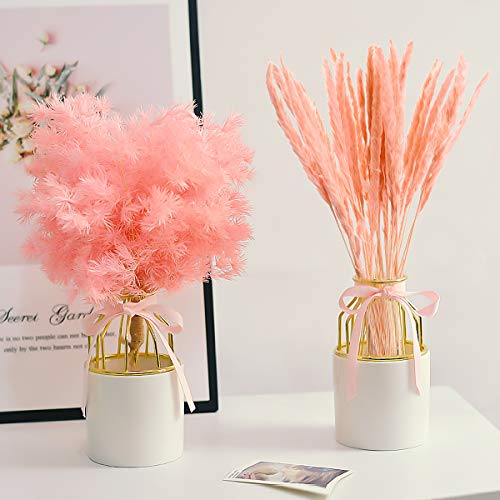 30PCS Hierba de Pampa Pequeña Seca,Natural Pampas Secas Grass Manojo Flores,Decoración del Hogar Hierba de Pampa,Ramo de Flores Decoración del Hogar Fiesta Boda del Hotel (Rosado)