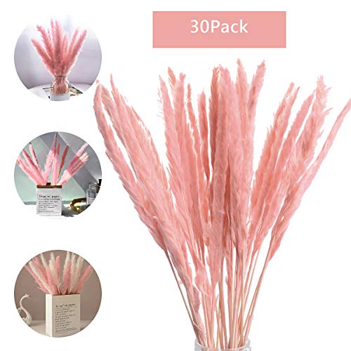 30PCS Hierba de Pampa Pequeña Seca,Natural Pampas Secas Grass Manojo Flores,Decoración del Hogar Hierba de Pampa,Ramo de Flores Decoración del Hogar Fiesta Boda del Hotel (Rosado)