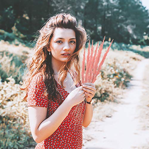 30PCS Hierba de Pampa Pequeña Seca,Natural Pampas Secas Grass Manojo Flores,Decoración del Hogar Hierba de Pampa,Ramo de Flores Decoración del Hogar Fiesta Boda del Hotel (Rosado)