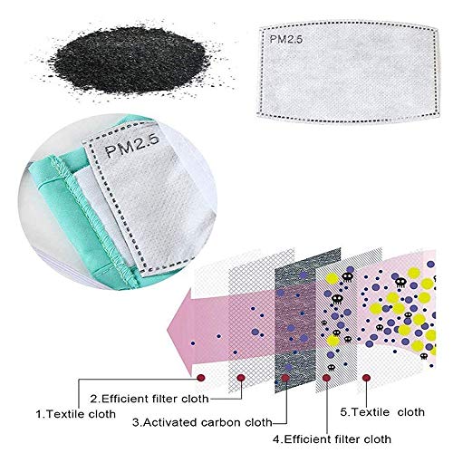 30PCS PM2.5 Filtro de carbón activado, 5 capas Niños reemplazables Anti Haze Filter Paper Pad para niños Niños Niñas
