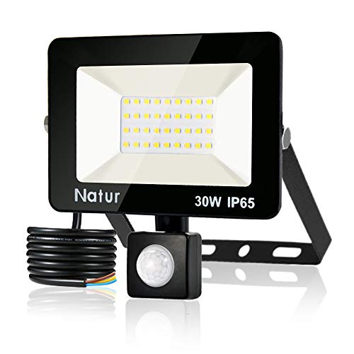 30W Foco LED con Sensor de Movimiento, Proyector Led Exterior Super Brillante 6000K Blanco Frío Foco LED Detector IP65 Impermeable para Jardín, Patio, Garaje [Clase de eficiencia energética A++]