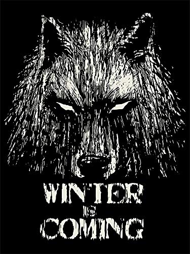 344-Camiseta Premium, Winter Is Coming (Fuacka) (Negro, XL)