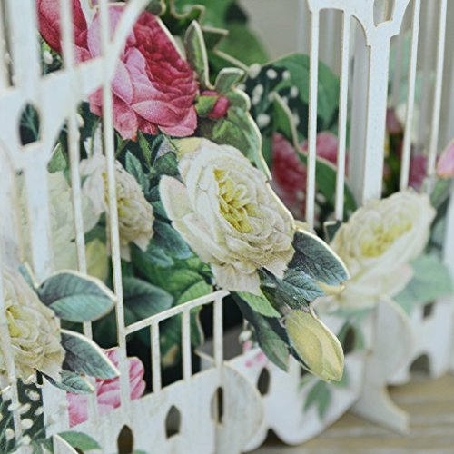 3D Flower Cage Birthday Card by Paper d'Ar