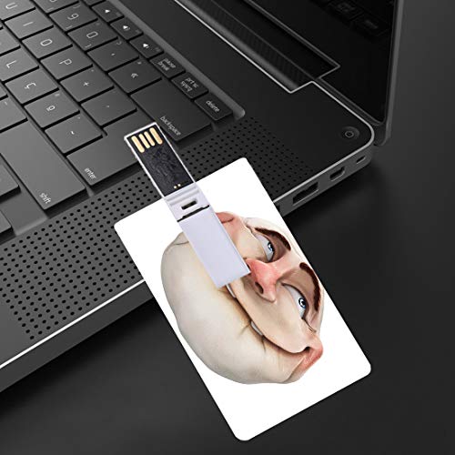 4 GB Unidades Flash USB Flash Humor Forma de Tarjeta de crédito bancaria Clave Comercial U Disco de Almacenamiento Memory Stick Comics Fun Meme Face Online Gestos de Redes sociales Mocking Head Artsy