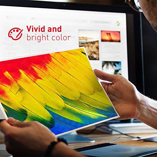 4 LEMERO Compatible Brother TN-2420 TN2420 TN-2410 [con Chip] Cartuchos de Toner para HL-L2310D HL-L2350DN HL-L2370DN HL-L2375DW MFC-L2710DN MFC-L2710DW MFC-L2730DW MFC-L2750DW DCP-L2510D DCP-L2530DW