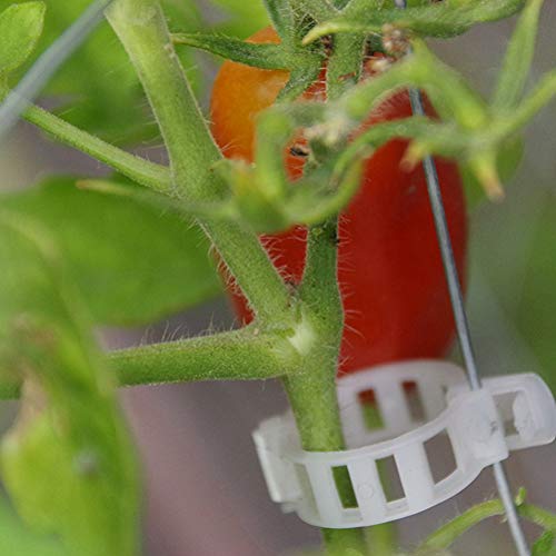 50 PCS Soporte de Plantas Clips de jardín para hortalizas de Vid, Tomate Enrejado Clips, Hace hortalizas de jardín para Crecer verticalmente y más Saludable (Blanco)