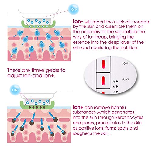 6 en 1 Masajeador adelgazante ultrasónico Eliminación grasa EMS LED ION Dispositivo reducción celulitis