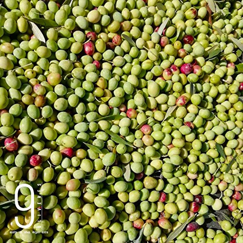 9 Oliveres Aceite de Oliva Virgen Extra. Olivos Milenarios. Variedad Blanqueta. Cosecha 2019 - 2020. Variedades: 100% Blanqueta. Formato Lata (2 x 2,5 Litros)