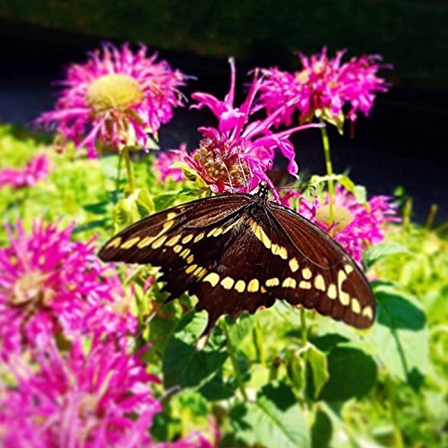 A Failure to Make Up for All of My Mistakes