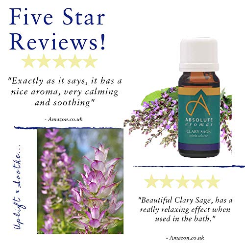 Absolute Aromas Aceite Esencial Salvia Sclarea 10ml - 100% puro, natural, sin diluyentes y libre de crueldad anima