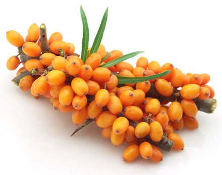 ACEITE DE ESPINO AMARILLO 600mg, antioxidante y activador inmunoestimulante, proporciona soporte para la temporada de resfriados y gripe, 100% Puro, PRENSADO EN FRÍO, 60 Capsulas