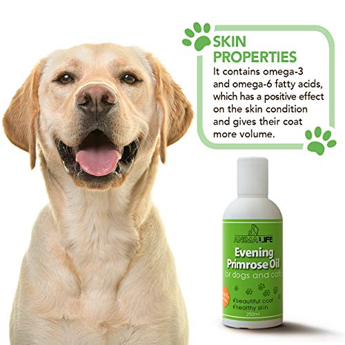 Aceite de Onagra para Perros & Gatos 250ml - 100% Natural - Vitaminas - Minerales - Omega 3 6 9 - Suplementos Alimenticios para Mascotas - Promueve un Pelo y Piel Saludables - Evening Primrose Oil