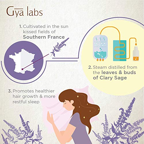 Aceite esencial de Clary Sage: un limpiador reconfortante para un cuero cabelludo más saludable (10 ml) - Aceite de salvia de Clary de grado terapéutico 100% puro