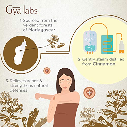 Aceite esencial de corteza de canela: un sentido más fuerte y saludable de claridad y belleza (10 ml) - Aceite de corteza de canela 100% puro de grado terapéutico