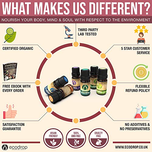 Aceite esencial de cúrcuma 100% natural obtenido por extracción con CO2 supercrítico, certificado ecológico COSMOS, grado terapéutico para aromaterapia, con libro electrónico de Ecodrop de regalo 10ml