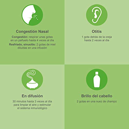 Aceite Esencial de Eucalipto Radiata Puro 30ml, 100% Natural y Bio | Aroma Refrescante Para Resfriados Tos Respirar Mejor | Ideal para Humidificador Ultrasónico Aromaterapia | Fabricado en Francia