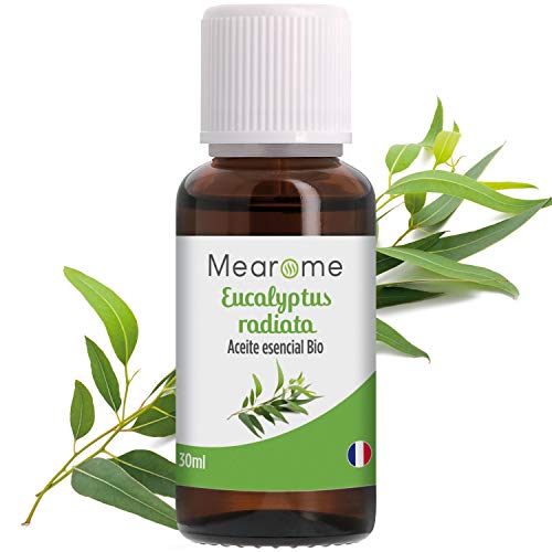 Aceite Esencial de Eucalipto Radiata Puro 30ml, 100% Natural y Bio | Aroma Refrescante Para Resfriados Tos Respirar Mejor | Ideal para Humidificador Ultrasónico Aromaterapia | Fabricado en Francia