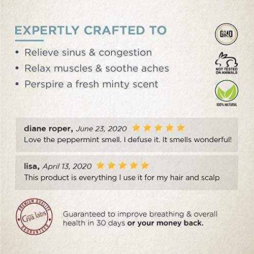 Aceite esencial de menta - Una revitalización refrescante para un cabello más saludable (10 ml) - Aceite de menta puro 100% puro de grado terapéutico