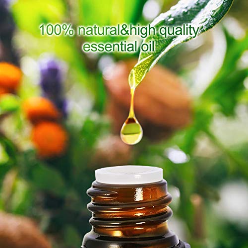 Aceites Esenciales para Humidificador, 100% Natural Puro Aromaterapia Aceite Aromático, 8 x 10 ml (Lavanda, Hierba de Limón, Menta, Eucalipto, Árbol de té, etcétera) para Humidificador y Difusor Aroma