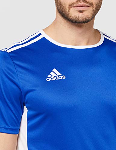 adidas Entrada 35 Camiseta de Fútbol para Hombre de Cuello Redondo en Contraste, Azul (Bold Blue/White), XS