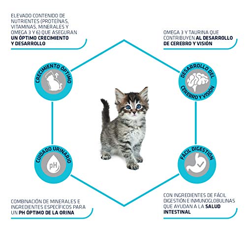 Advance Kitten - Pienso para Gatitos - 10 kg