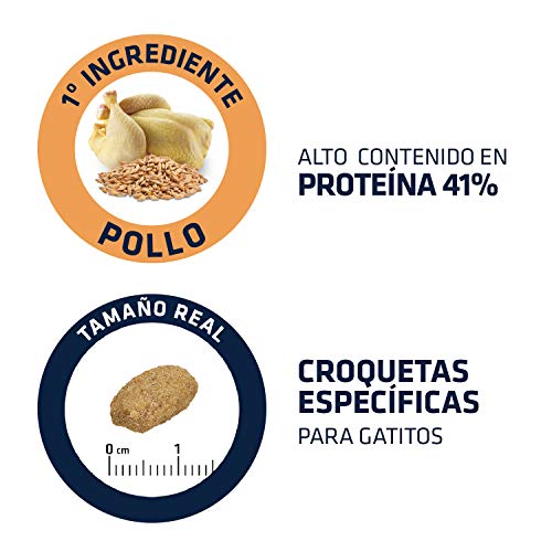 Advance Kitten - Pienso para Gatitos - 10 kg