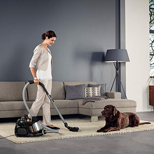 AEG LX7-2-EB-P Aspiradora de Trineo Sin Bolsa, Gran Filtración,Depósito de 1.4L, Fácil Vaciado,Radio de acción de 9 m,72dB de Ruido,Cepillo Suelos Duros, Parquet, 750 W,Negro