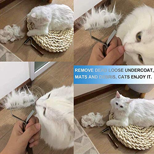AIDIYA Profesional Pet Dematting Peine Grooming Stripping Herramienta para Perros y Gatos (7.2cm)