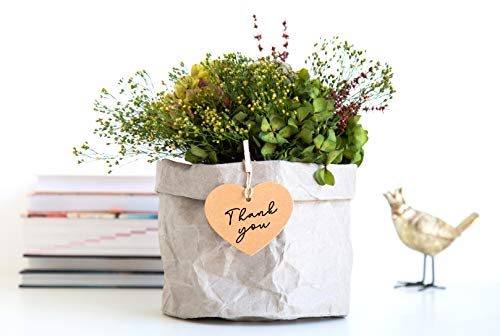 Aiire Cestas Decorativas y Cubremacetas para Decoracion Hogar - Maceteros Decorativos de Interior para Plantas Naturales y Flores Artificiales - Adornos para Salon Modernos y Tiestos para Plantas