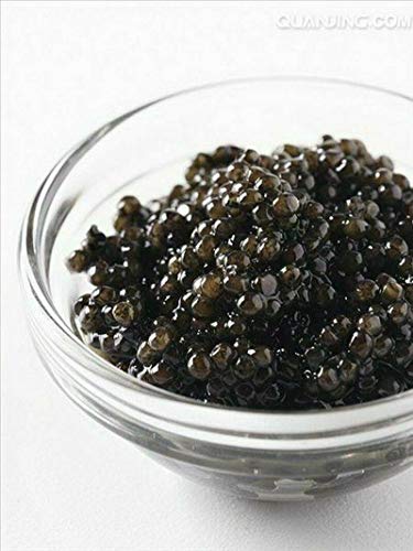 Aikeec Caviar - Kit de 100 agujeros para chef de gastronomía molecular