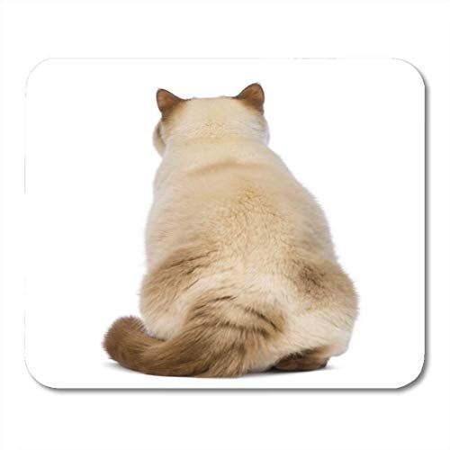 Almohadillas para mouse mascota gato tostado vista posterior de fat british shorthair 2 5 años de edad sentado en la parte delantera blanco solo con sobrepeso alfombrilla de ratón para portátiles, Alf