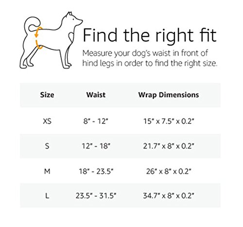 AmazonBasics - Pañal desechable para perro macho, L, paquete de 30 unidades