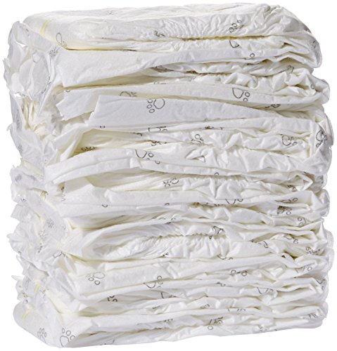 AmazonBasics - Pañal desechable para perro macho, L, paquete de 30 unidades
