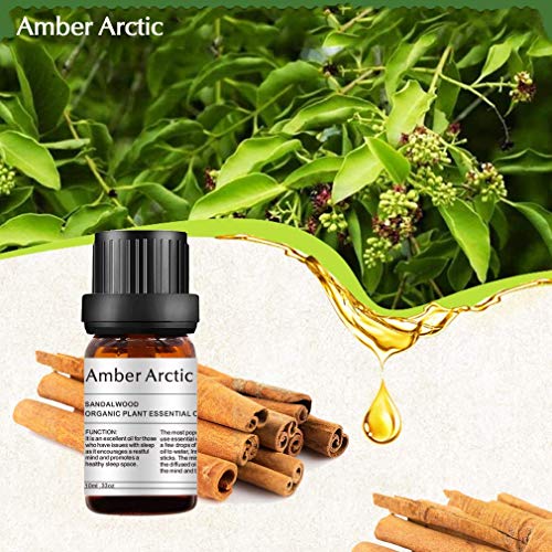 AMBER ARCTIC Sándalo Aceite Esencial Para Difusor, 100% Pura Terapia de Planta Orgánica Fresca Aceite de Sándalo 10Ml / 0.33Oz