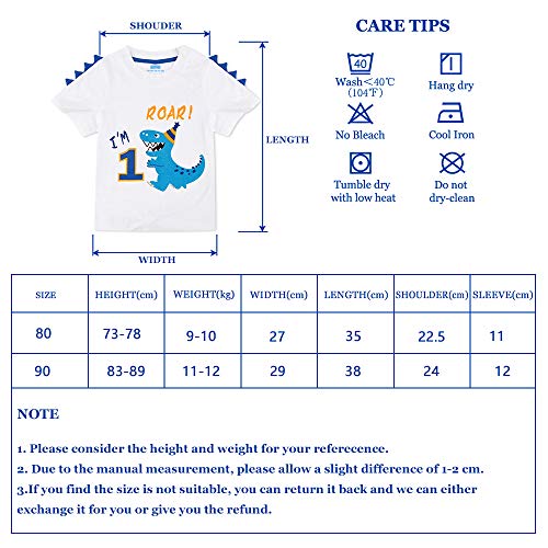 AMZTM Dinosaurio Camiseta de Cumpleaños - 1er Cumpleaños Suministros para la Fiesta Camisetas de Manga Corta para Bebé Niños Estampada Bordado con Cuello Redondo de 100% Algodón Camiseta (Blanca, 80)