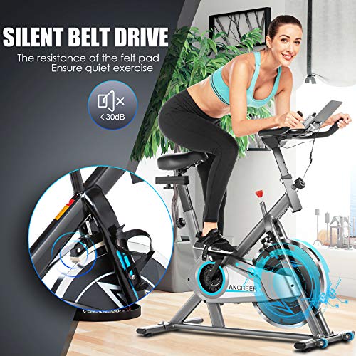 Ancheer Bicicleta Estática de Spinning Bicicleta Interior Volante 10kg, Pantalla LCD, Sillín Ajustable, Máximo Usuario130 kg (Plateado)