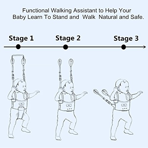 Andador Toddler Walking Assistant, Autbye De pie y caminando Aprendizaje Ayudante Para bebé, 4 en 1 funcional Arnés para caminar de seguridad Walker para bebé 7-24 meses (azul)