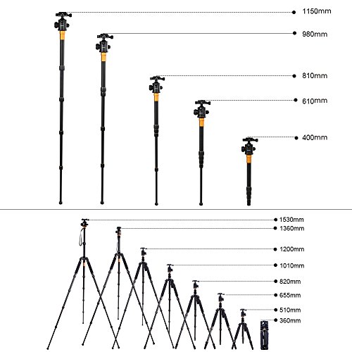 Andoer Q666 Trípode Completo Trípode Reflex Portátil 156cm para DSLR Cámara Canon Sony Nikon, Trípode 2-en-1 Monopod Photocamera Aleación de Aluminio con Cabeza de 360° Bola, Bolsa de Transporte