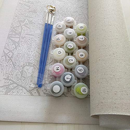 Anfwy Camelia Flores DIY Pintura por Número Arte Moderno de la Pared Pintura de la Lona Pintura Acrílica por Números para Decoraciones Caseras 40 CMx50 CM sin Marco