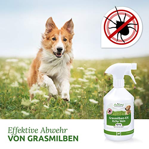 AniForte ácaros de la hierba EX Spray 500ml - aerosol contra ácaros de la hierba para perros, contra los parásitos, defensa efectiva, limpieza y cuidado, alivia la piel irritada, alivia el picor