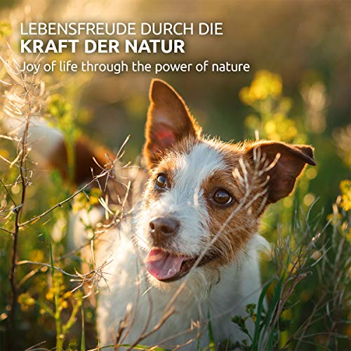 AniForte ácaros de la Hierba Spray 250ml - Aerosol contra ácaros de la Hierba para Perros, contra parásitos, Defensa efectiva, Limpieza y Cuidado, Alivia la Piel irritada y el picor