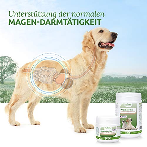AniForte Polvo de Corteza de Olmo Rojo 100g. Producto Natural para Perros y Gatos. Ayuda al Equilibrio de la Flora Intestinal. Bienestar para el Sistema Gastrointestinal con Gran Aporte de Vitaminas