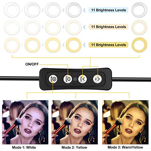 Anillo de Luz LED, MACTREM Ring Light Regulable 6” para Fotografía Aro de Luz con Trípode y Soporte para Teléfono para Maquillaje, Movil, Selfie, Youtube, Transmisión en Vivo Grabación de vídeo Vlog
