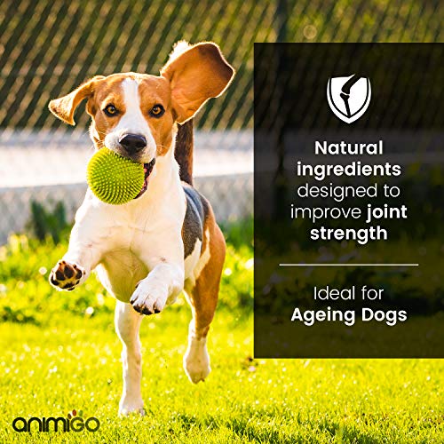 Animigo Hip Flex | Suplemento Condroprotector para Perros | Cuidado de Articulaciones, Huesos y Energia | con Ácido Hialurónico, MSM, Vitamina C, Glucosamina y Condroitina | 60 Pastillas Blandas